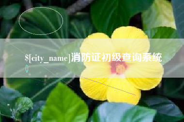 运城消防证初级查询系统