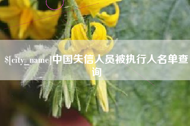 运城中国失信人员被执行人名单查询