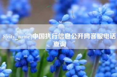运城中国执行信息公开网客服电话查询