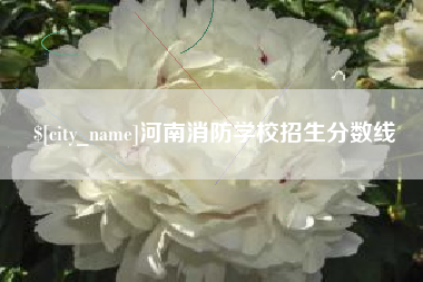 运城河南消防学校招生分数线