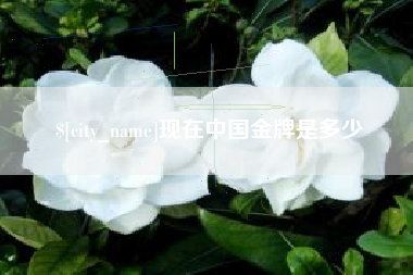 运城现在中国金牌是多少