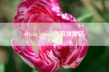 运城九宫排除法