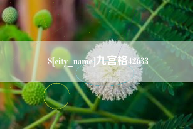 运城九宫格42633
