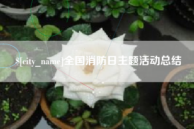 运城全国消防日主题活动总结