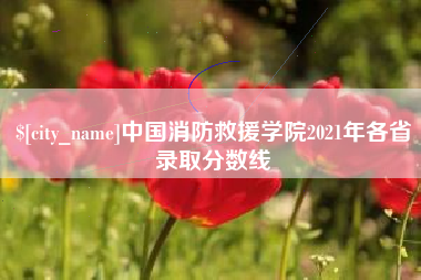 运城中国消防救援学院2021年各省录取分数线