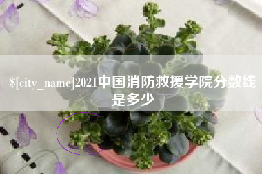 运城2021中国消防救援学院分数线是多少