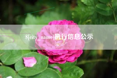 运城执行信息公示
