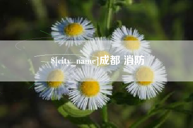 运城成都 消防