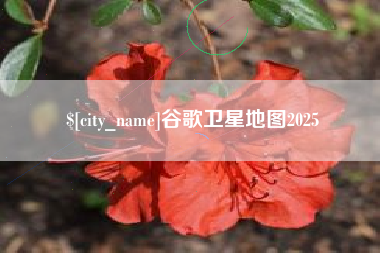 运城谷歌卫星地图2025