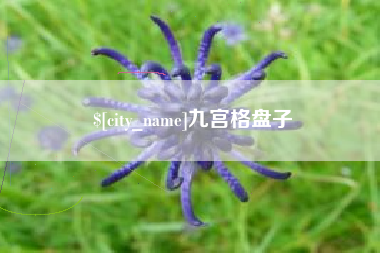 运城九宫格盘子