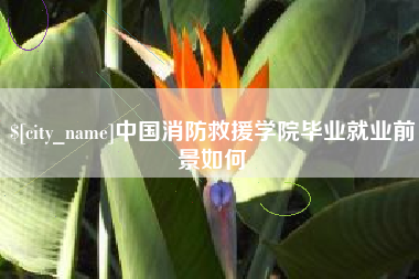 运城中国消防救援学院毕业就业前景如何