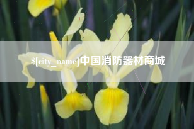 运城中国消防器材商城