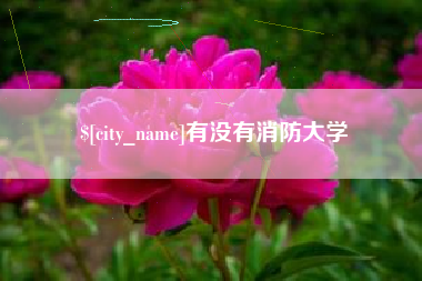 运城有没有消防大学