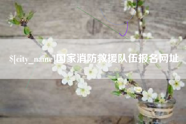 运城国家消防救援队伍报名网址
