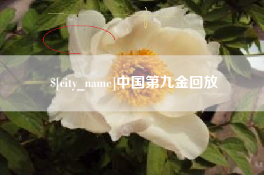运城中国第九金回放