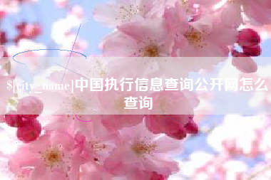 运城中国执行信息查询公开网怎么查询