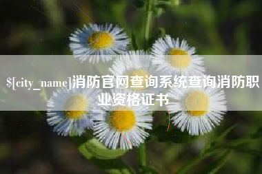 运城消防官网查询系统查询消防职业资格证书