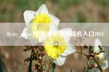 运城中国消防官网报名入口2024