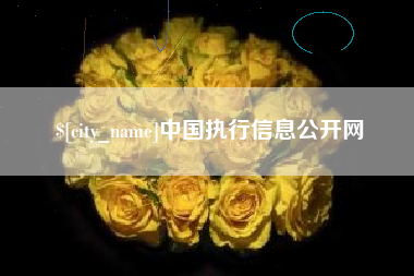 运城中国执行信息公开网