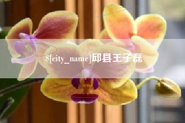 运城邱县王子磊