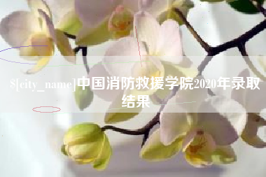 运城中国消防救援学院2020年录取结果