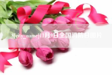 运城11月9日全国消防日图片
