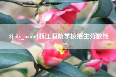 运城浙江消防学校招生分数线