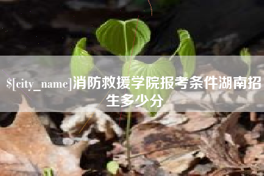 运城消防救援学院报考条件湖南招生多少分