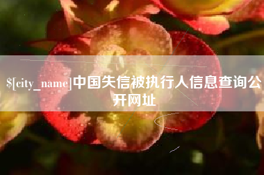 运城中国失信被执行人信息查询公开网址