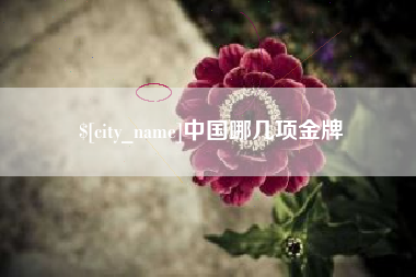 运城中国哪几项金牌