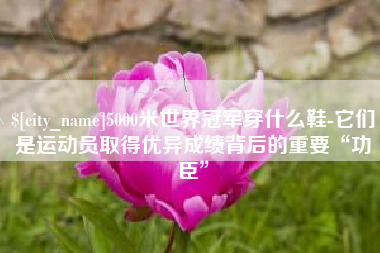 运城5000米世界冠军穿什么鞋-它们是运动员取得优异成绩背后的重要“功臣”