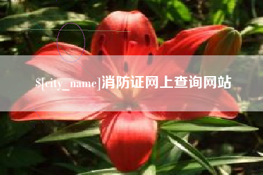 运城消防证网上查询网站