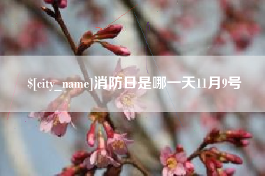 运城消防日是哪一天11月9号