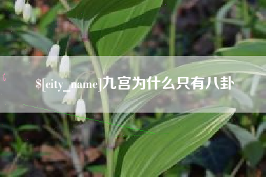 运城九宫为什么只有八卦