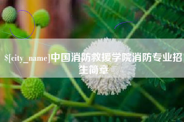 运城中国消防救援学院消防专业招生简章
