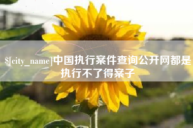 运城中国执行案件查询公开网都是执行不了得案子