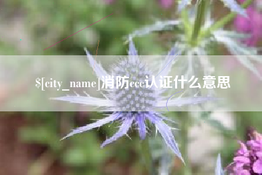 运城消防ccc认证什么意思