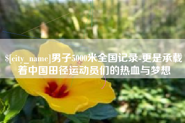 运城男子5000米全国记录-更是承载着中国田径运动员们的热血与梦想