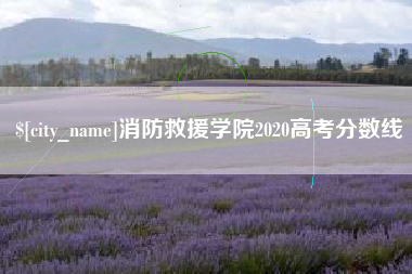 运城消防救援学院2020高考分数线
