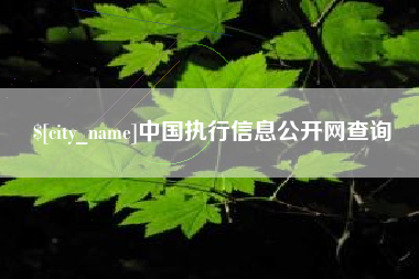 运城中国执行信息公开网查询