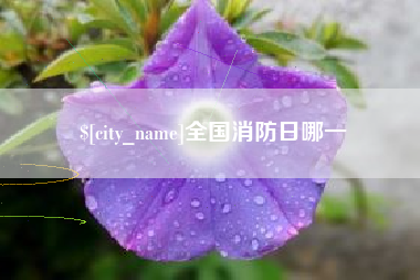 运城全国消防日哪一