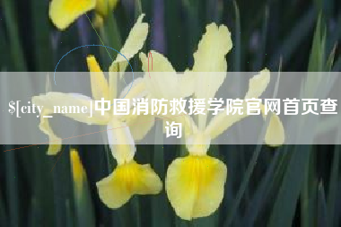 运城中国消防救援学院官网首页查询
