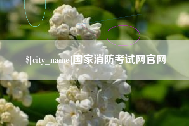 运城国家消防考试网官网