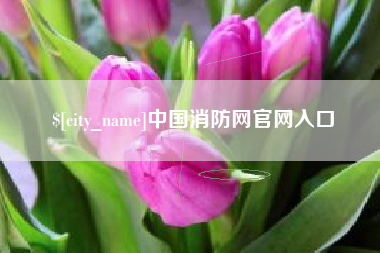 运城中国消防网官网入口