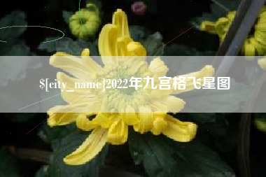 运城2022年九宫格飞星图