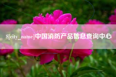 运城中国消防产品信息查询中心