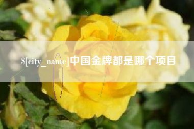 运城中国金牌都是哪个项目