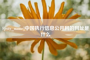 运城中国执行信息公开网的网址是什么