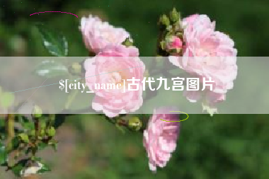 运城古代九宫图片