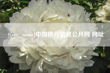 运城中国执行信息公开网 网址